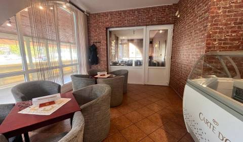 Eladó Üzlethelység, Üzlethelység, Dunajská Streda, Szlovákia