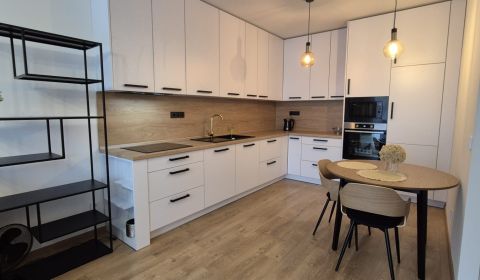 Kiadó 2 szobás lakás, 2 szobás lakás, Alvinczyho, Košice - Staré Mesto
