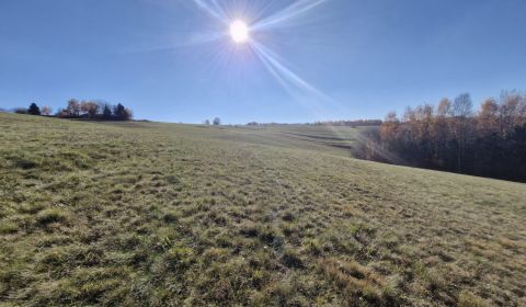 Eladó Építési telek, Építési telek, Detva, Szlovákia