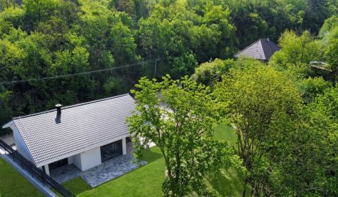 Eladó Családi ház, Családi ház, Hrádok, Nové Mesto nad Váhom, Szlováki