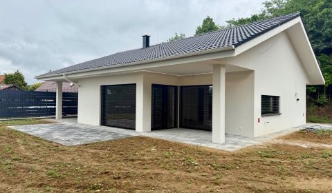 Eladó Családi ház, Családi ház, Hrádok, Nové Mesto nad Váhom, Szlováki