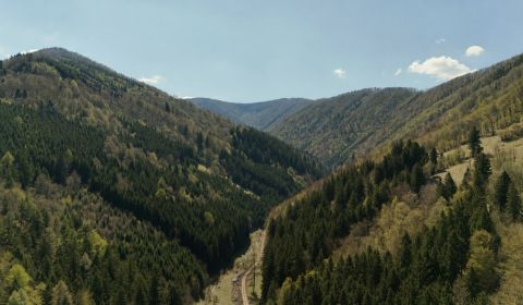 Eladó Mezőgazdasági és erdei telkek, Mezőgazdasági és erdei telkek, Ži