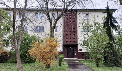 Kiadó 1 szobás lakás, 1 szobás lakás, Vlčie Hrdlo, Bratislava - Ružino
