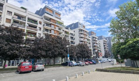 Eladó 3 szobás lakás, 3 szobás lakás, Drieňová, Bratislava - Ružinov, 