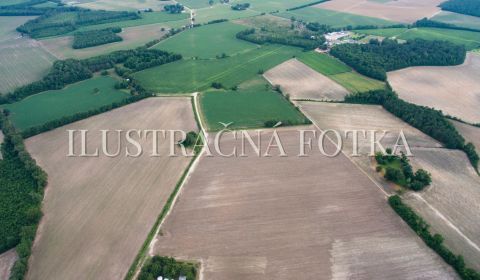Eladó Építési telek, Építési telek, Dunajská Streda, Szlovákia