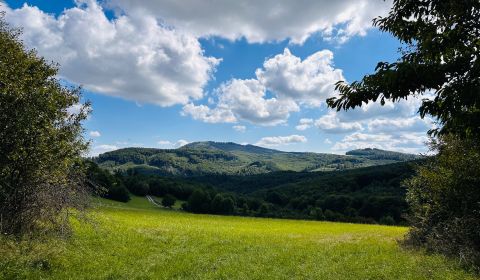 Eladó Mezőgazdasági és erdei telkek, Mezőgazdasági és erdei telkek, Me