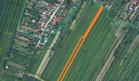 Eladó Mezőgazdasági és erdei telkek, Mezőgazdasági és erdei telkek, Pe