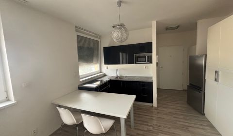 Kiadó 1 szobás lakás, 1 szobás lakás, Silvánová, Pezinok, Szlovákia