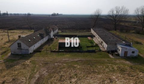 Eladó Ipari ingatlan, Ipari ingatlan, Levice, Szlovákia