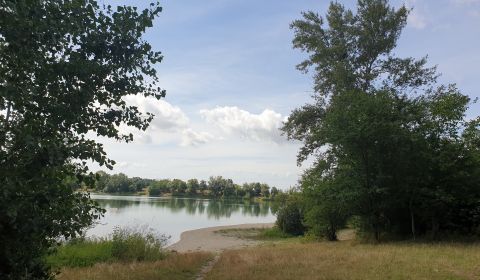 Eladó Mezőgazdasági és erdei telkek, Mezőgazdasági és erdei telkek, Hv