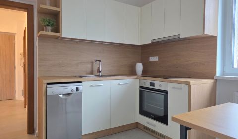 KIADÓ - Tágas 3 szobás lakás - Nitra, Központ