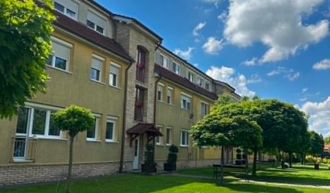 Kiadó 3 szobás lakás, 3 szobás lakás, Okružná cesta, Komárno, Szlováki