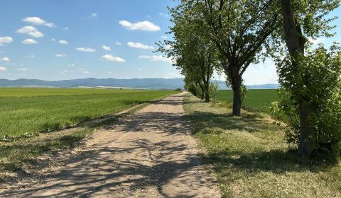 Eladó Mezőgazdasági és erdei telkek, Mezőgazdasági és erdei telkek, To