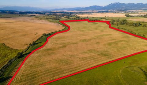 Eladó Mezőgazdasági és erdei telkek, Mezőgazdasági és erdei telkek, Tu
