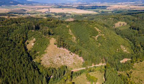 Eladó Mezőgazdasági és erdei telkek, Mezőgazdasági és erdei telkek, Tu