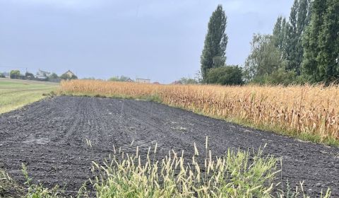 Eladó Építési telek, Építési telek, Dunajská Streda, Szlovákia