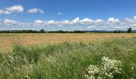 Eladó Építési telek, Építési telek, Topoľčany, Szlovákia