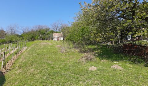 Eladó Üdülőtelkek, Üdülőtelkek, Malacky, Szlovákia