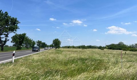 Eladó Mezőgazdasági és erdei telkek, Mezőgazdasági és erdei telkek, Se