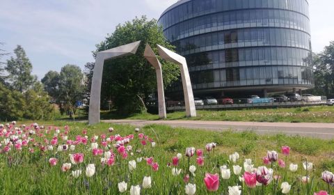 Kiadó Irodahelység, Irodahelység, Röntgenova, Bratislava - Petržalka, 