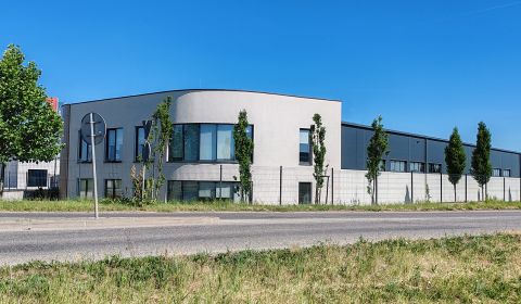 Kiadó Raktárak és ipari épületek, Raktárak és ipari épületek, Trnava, 