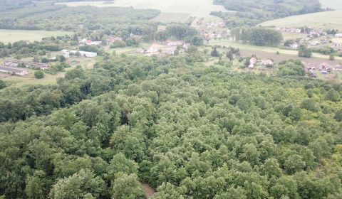 Eladó Mezőgazdasági és erdei telkek, Mezőgazdasági és erdei telkek, Ve