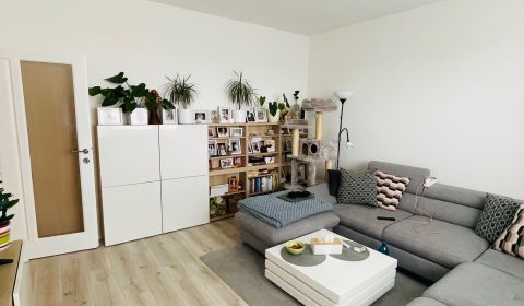 Eladó 3 szobás lakás, 3 szobás lakás, Bratislava - Petržalka, Szlováki