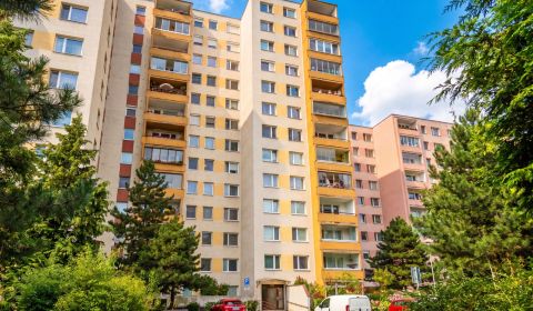 Eladó 3 szobás lakás, 3 szobás lakás, Jégeho, Bratislava - Ružinov, Sz