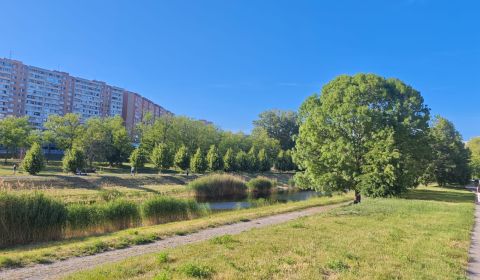 Kiadó 1 szobás lakás, 1 szobás lakás, Lachova, Bratislava - Petržalka,
