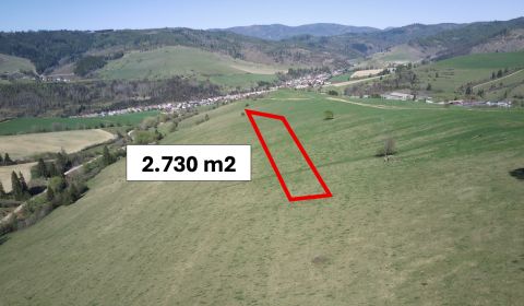 Eladó Mezőgazdasági és erdei telkek, Mezőgazdasági és erdei telkek, Br
