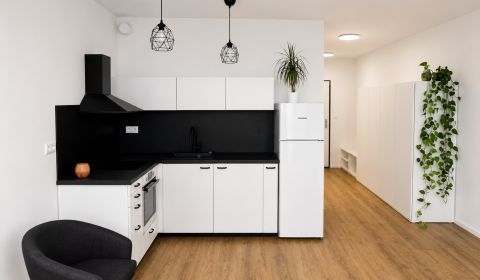 Kiadó 1 szobás lakás, 1 szobás lakás, Hraničná, Bratislava - Ružinov, 