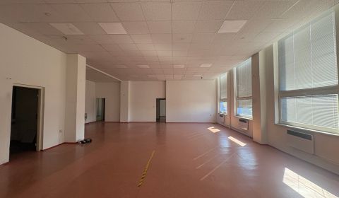 Kiadó Üzlethelység, Üzlethelység, Hattalova, Bratislava - Nové Mesto, 