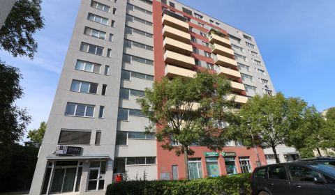 Kiadó 2 szobás lakás, 2 szobás lakás, Tomášikova, Bratislava - Ružinov