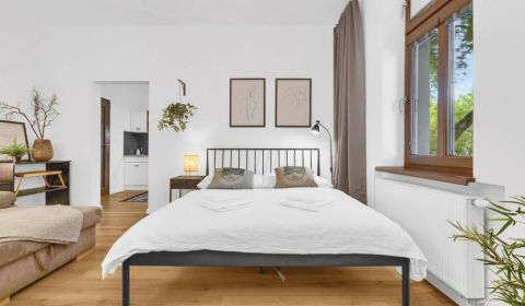 Kiadó 1 szobás lakás, 1 szobás lakás, 29. augusta, Bratislava - Staré 