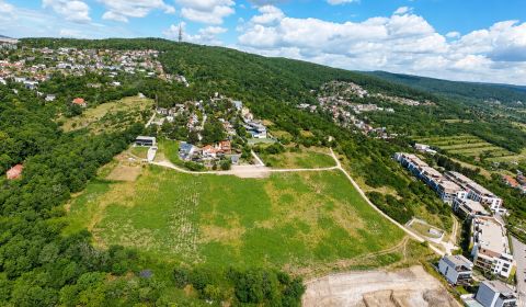 Eladó Építési telek, Építési telek, Frankovská, Bratislava - Nové Mest