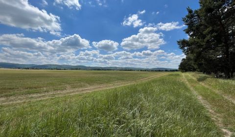 Eladó Kertek, Kertek, Malacky, Szlovákia