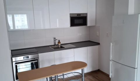 Kiadó 1 szobás lakás, 1 szobás lakás, Budatinská, Bratislava - Petržal