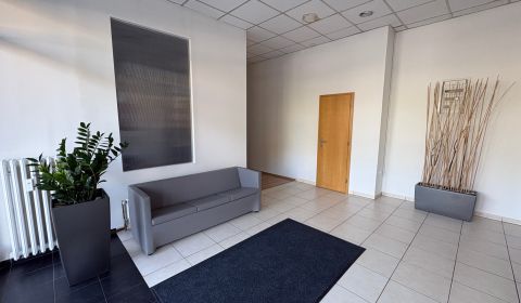 Kiadó Irodahelység, Irodahelység, Rovniankova, Bratislava - Petržalka,
