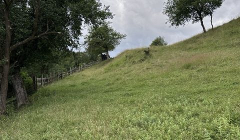 Eladó Mezőgazdasági és erdei telkek, Mezőgazdasági és erdei telkek, Ky