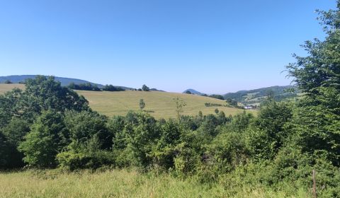 Eladó Mezőgazdasági és erdei telkek, Mezőgazdasági és erdei telkek, Ky