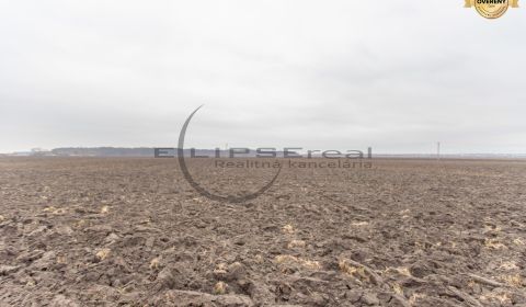 Eladó Mezőgazdasági és erdei telkek, Mezőgazdasági és erdei telkek, Ma