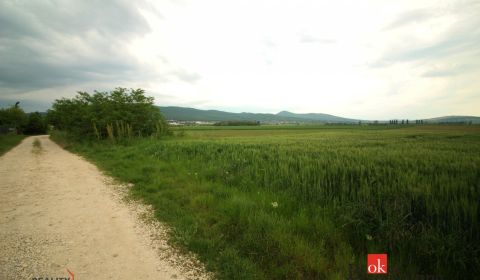 Eladó Építési telek, Nitra, Szlovákia