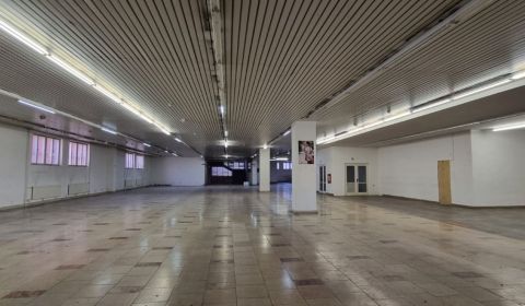 Kiadó Üzlethelység, Üzlethelység, Štefánikova trieda, Nitra, Szlovákia
