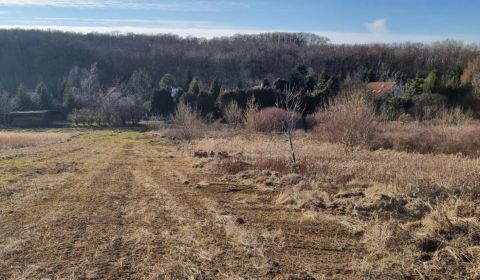 Eladó Építési telek, Építési telek, Pod brezami, Nitra, Szlovákia