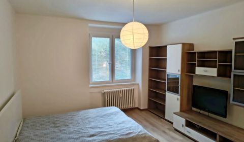 Kiadó 1 szobás lakás, 1 szobás lakás, Miletičova, Bratislava - Ružinov
