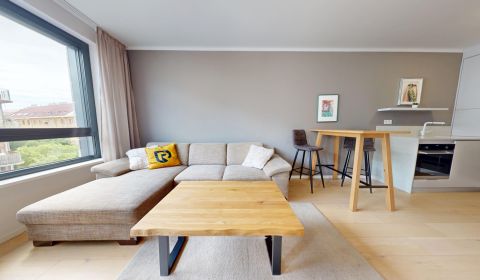 Kiadó 1 szobás lakás, 1 szobás lakás, Radlinského, Bratislava - Staré 