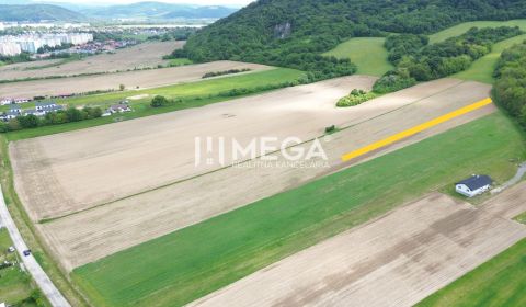 Eladó Mezőgazdasági és erdei telkek, Mezőgazdasági és erdei telkek, Dl