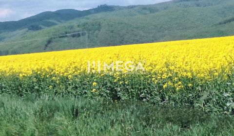 Eladó Mezőgazdasági és erdei telkek, Mezőgazdasági és erdei telkek, Ka