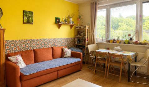Eladó 2 szobás lakás, 2 szobás lakás, Studenohorská, Bratislava - Lama