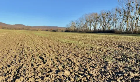 Eladó Mezőgazdasági és erdei telkek, Michalovce, Szlovákia